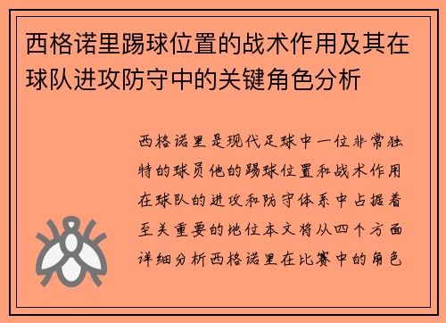 西格诺里踢球位置的战术作用及其在球队进攻防守中的关键角色分析